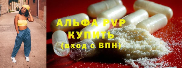 соль ск Алексин